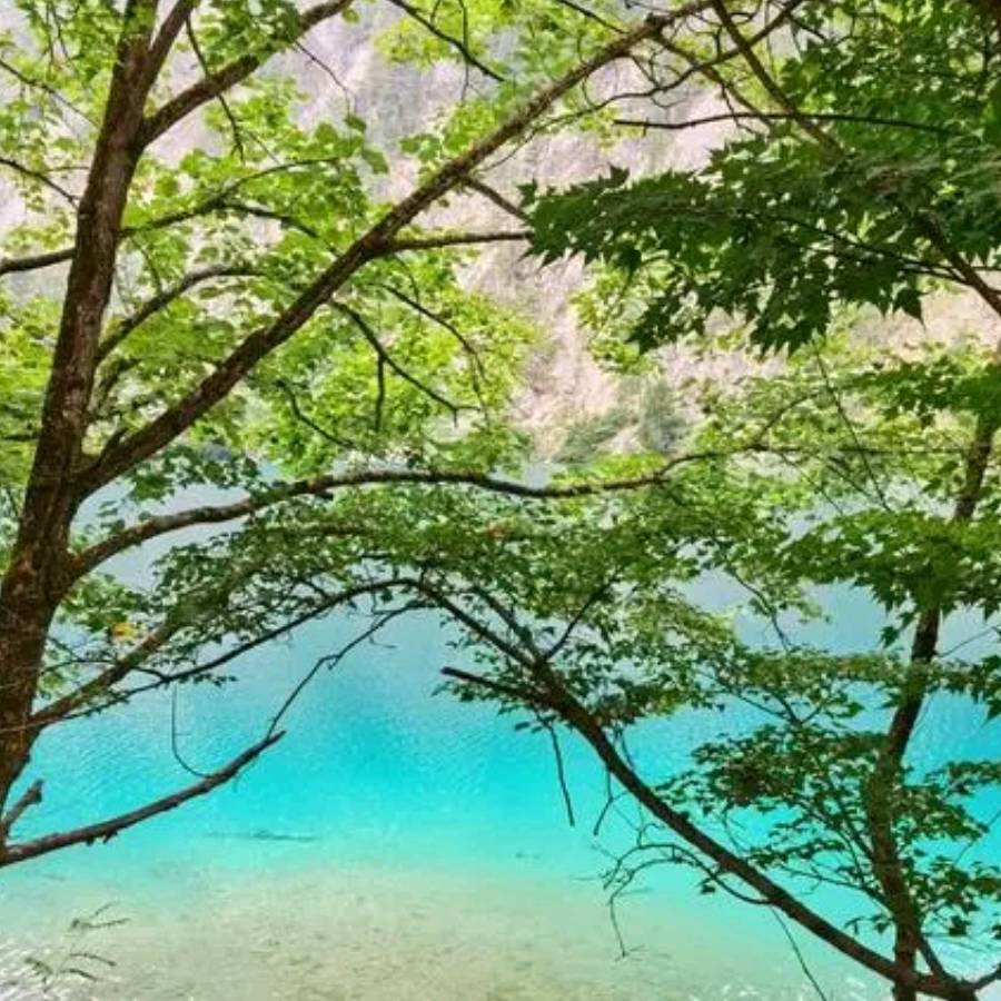 深入探究JAVA int型范围：理解其上限和下限限制_类型_代码_Java