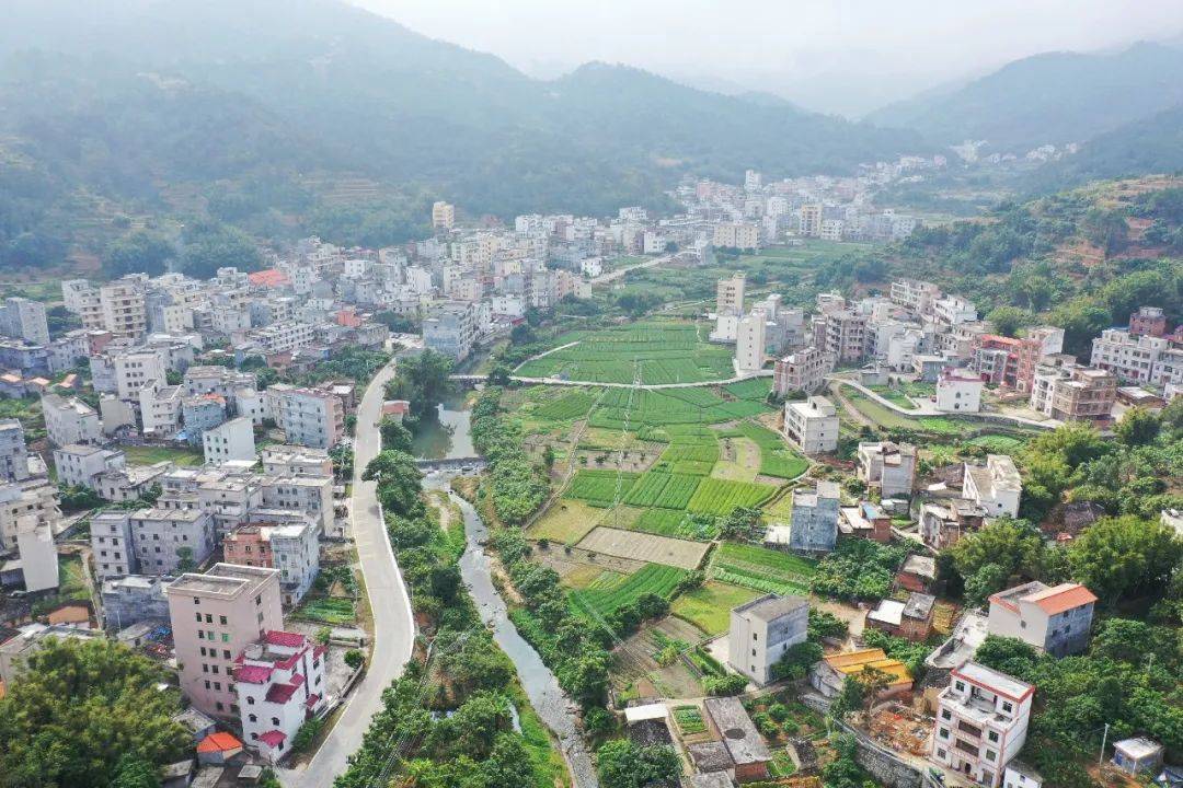 信宜大成麦22浪22滚22滚22,一起"麦"向致富路丨奋战"百千万