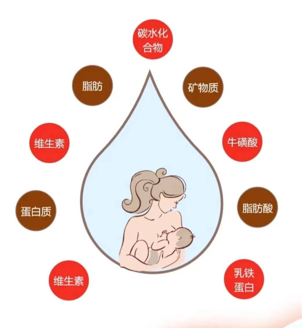 2024年世界母乳喂养周