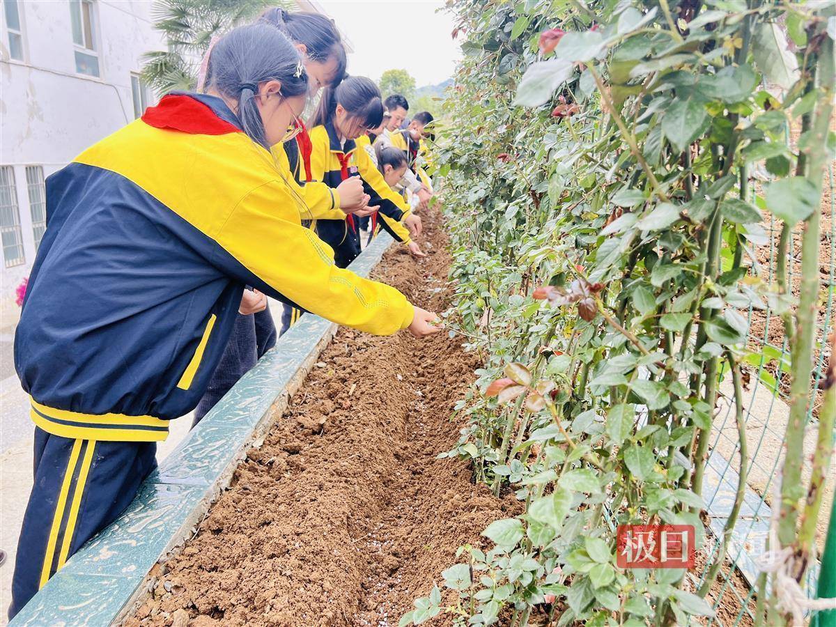 皮皮虾：香港期期准资料大全免费-福建闽侯：发挥县乡党校主阵地作用 推动党纪学习教育走深走实