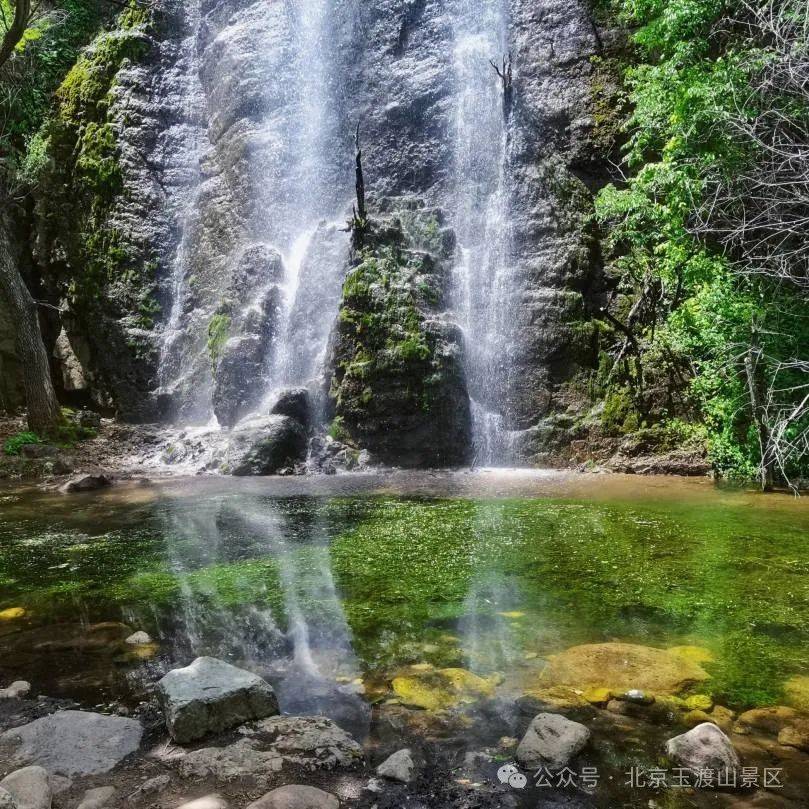 玉渡山风景区电话图片