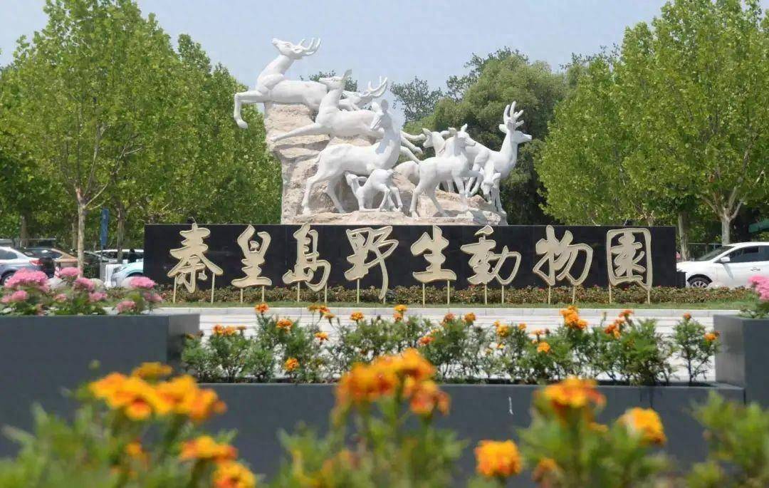 浪漫七夕相约秦皇岛野生动物园