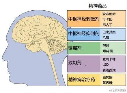 神经系统速记口诀及超全图谱