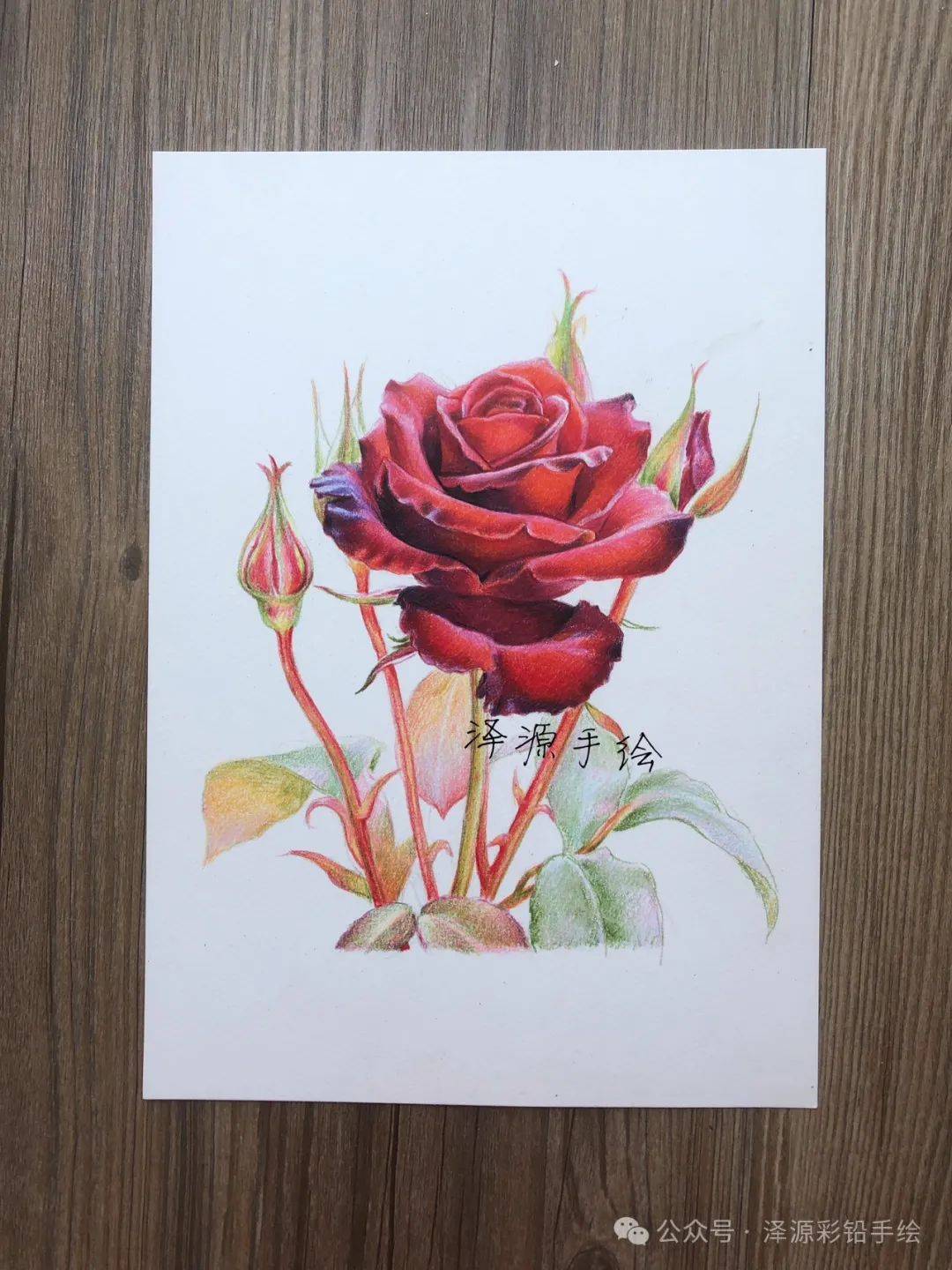 纸张_高白_水彩