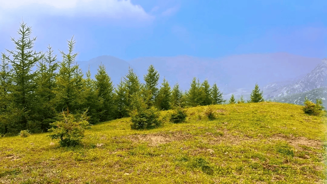 两小时到达保定"伊犁"风景区,享受心灵之旅~_长城_草原_自然
