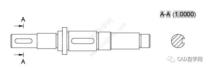 一分钟生成cad断面图,你会了?