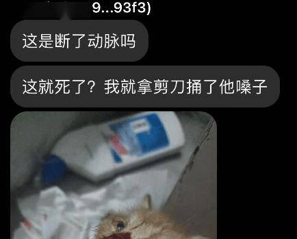 高校毕业生虐猫,装作领养人血腥折磨多只猫