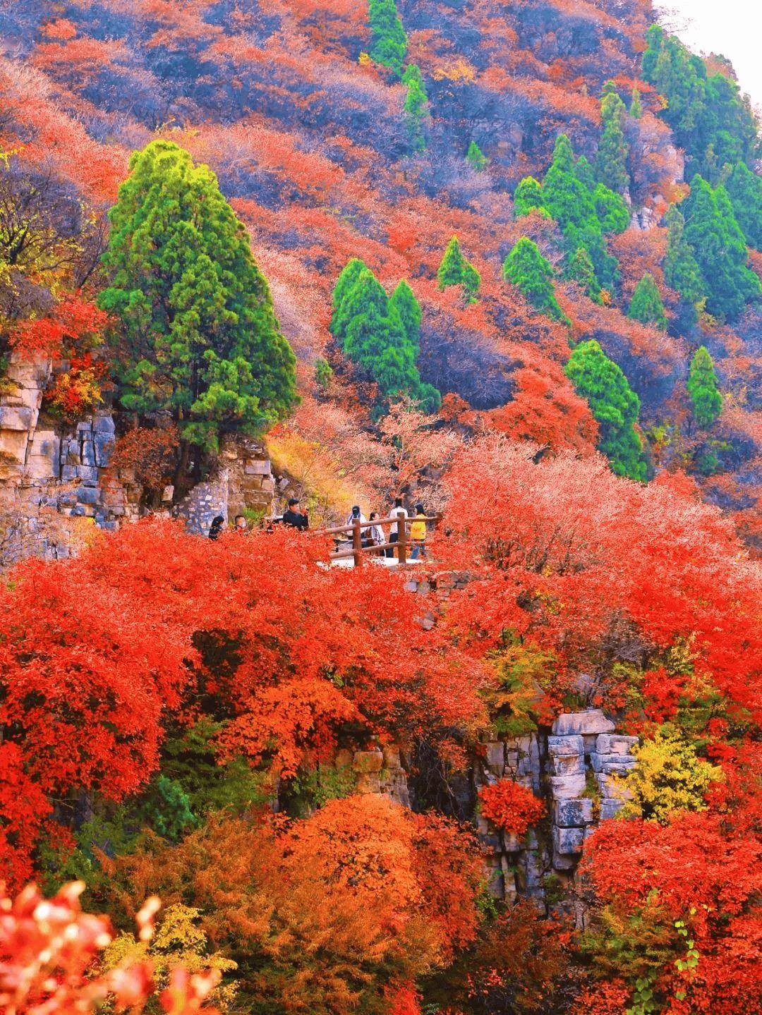 临朐免费风景区图片