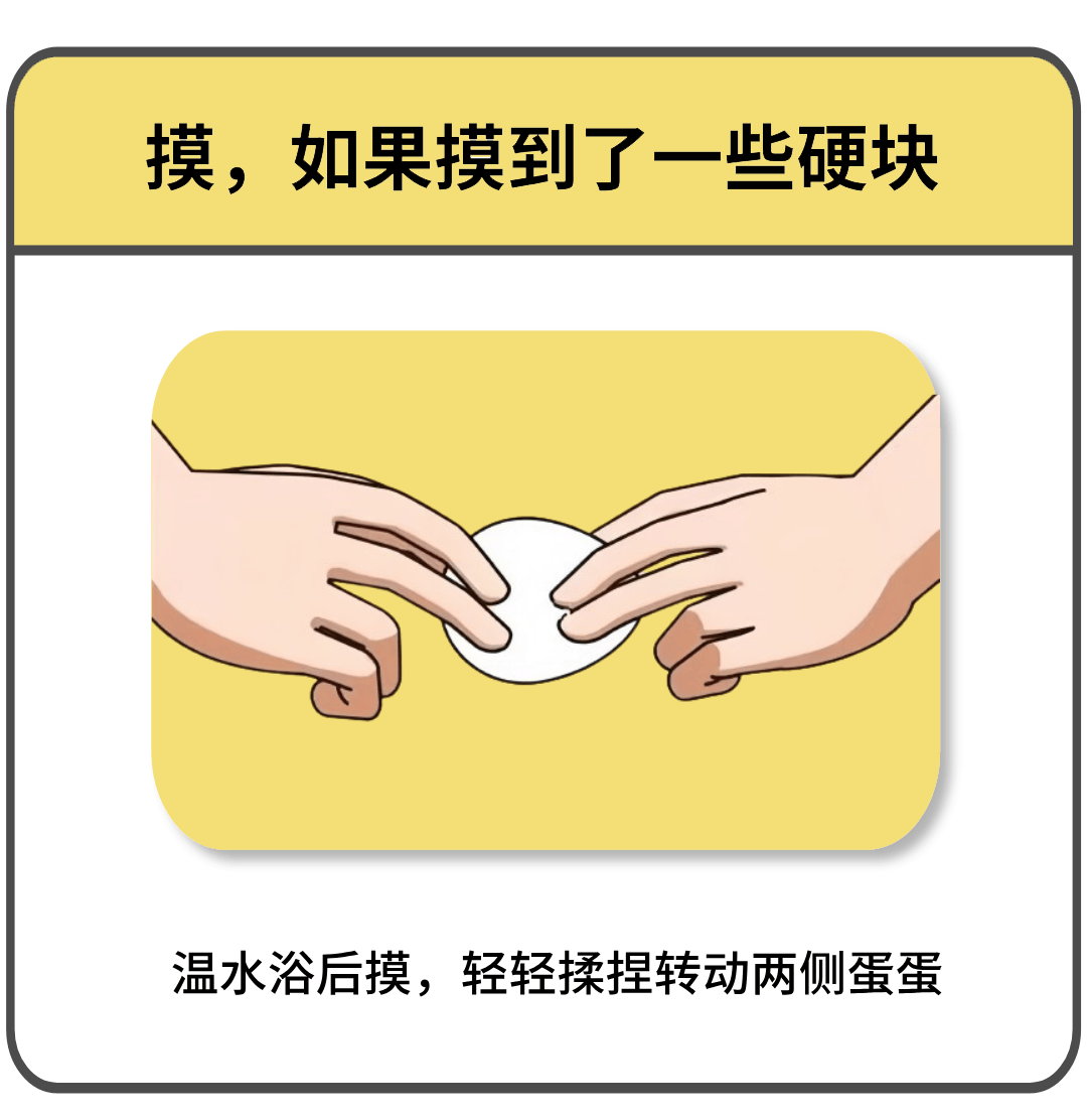 男生的"蛋蛋",哪种形状才算正常?