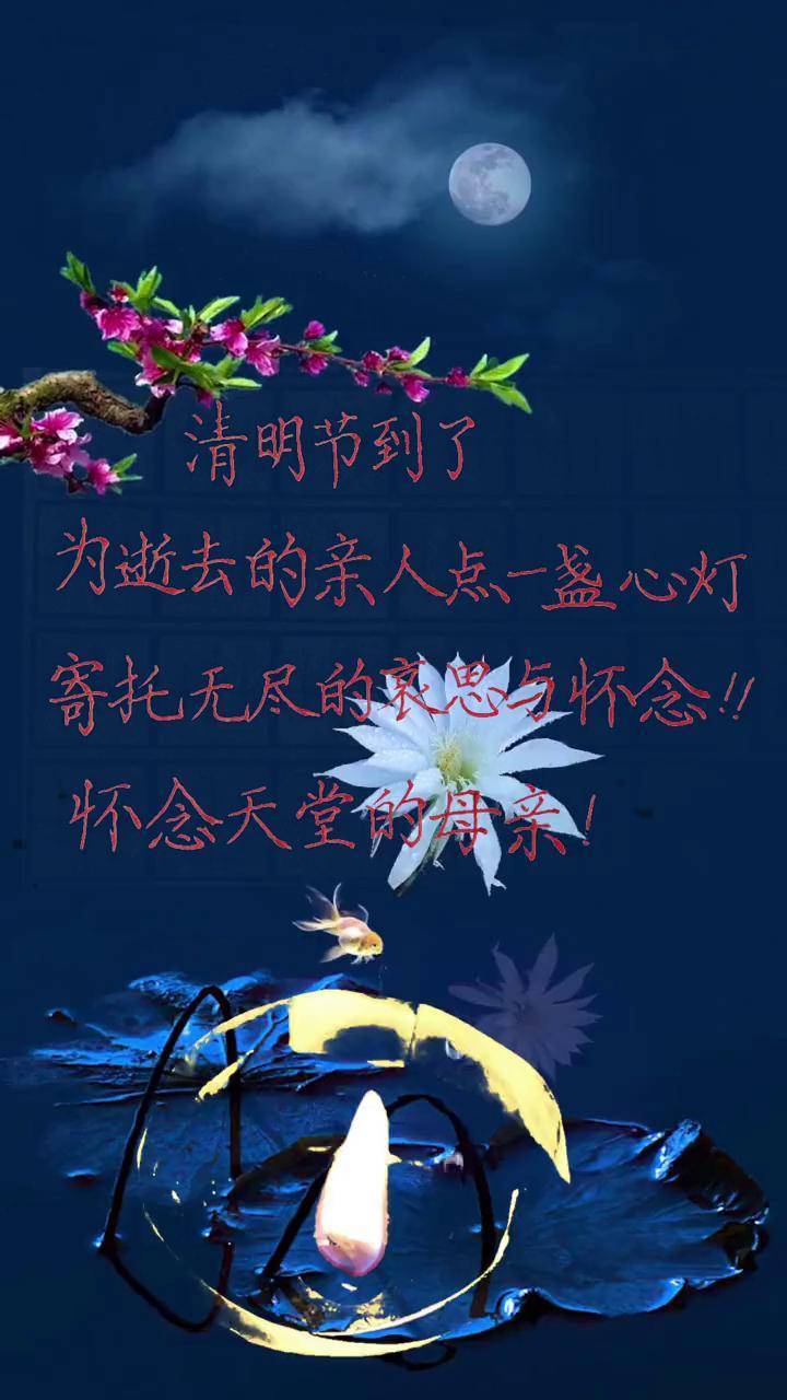 怀念天堂的亲人愿在天堂的母亲一切安好