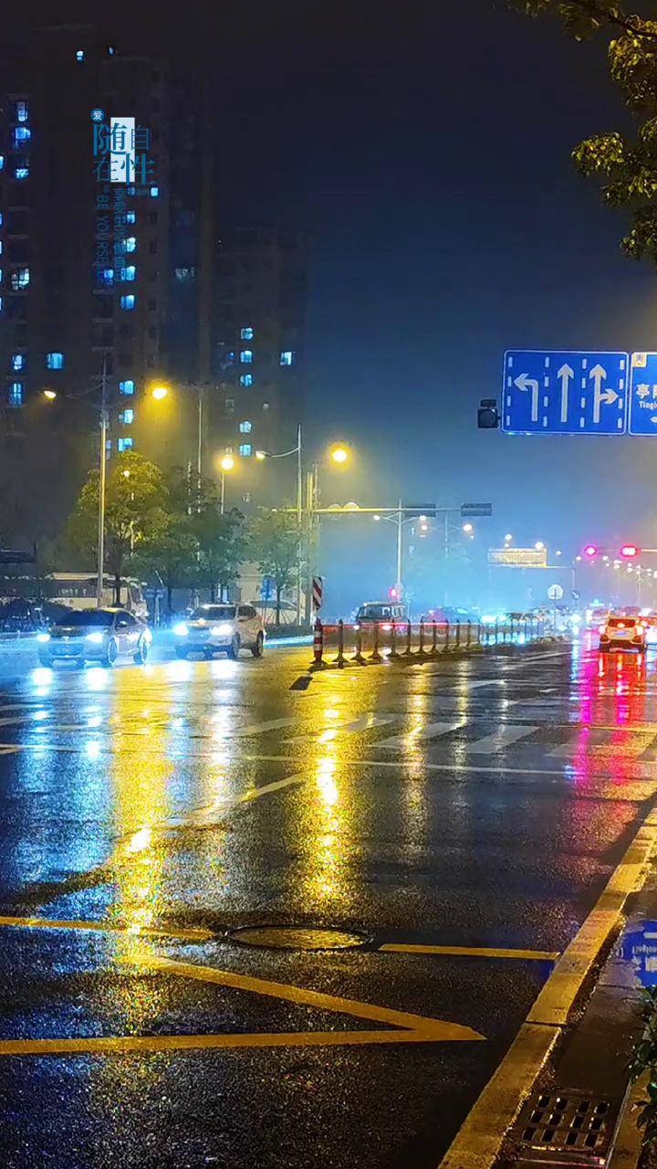 的夜晚 风来听风雨来听雨人生百味随意就好 车来车往 车流霓虹 雨天