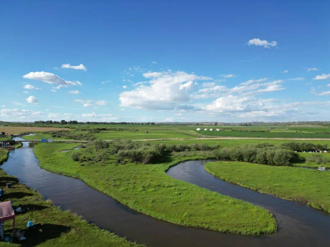 其它比如干枝梅等花期陆续登场)seaofflowers锡林郭勒大草原世界文化