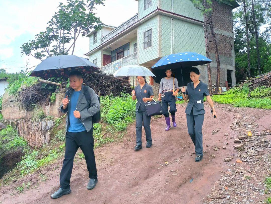 "别样"法庭绘就司法为民好"枫"景_审判_工作_会泽