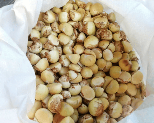 【罗山特产】老家板栗来啦!9.9元起,快来带到家!