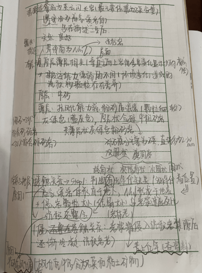 第一页最后几行是老师对该点岩石描述的总结,记录完整.