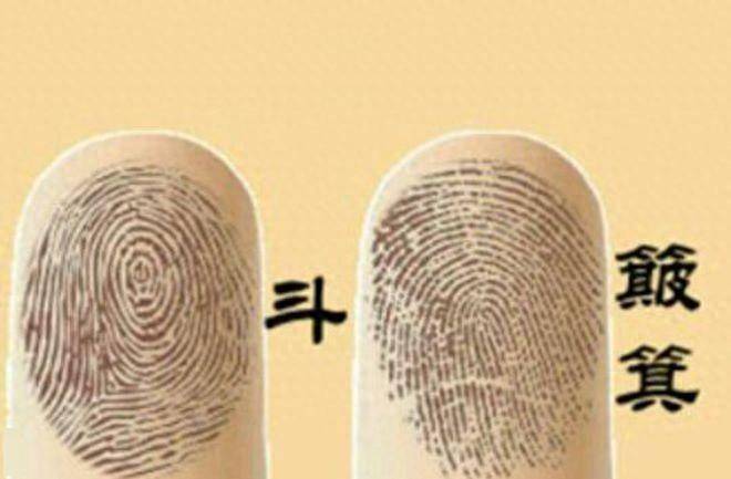 人类指纹的斗和簸箕有什么秘密?真是基因的诅咒?未来早已注定?