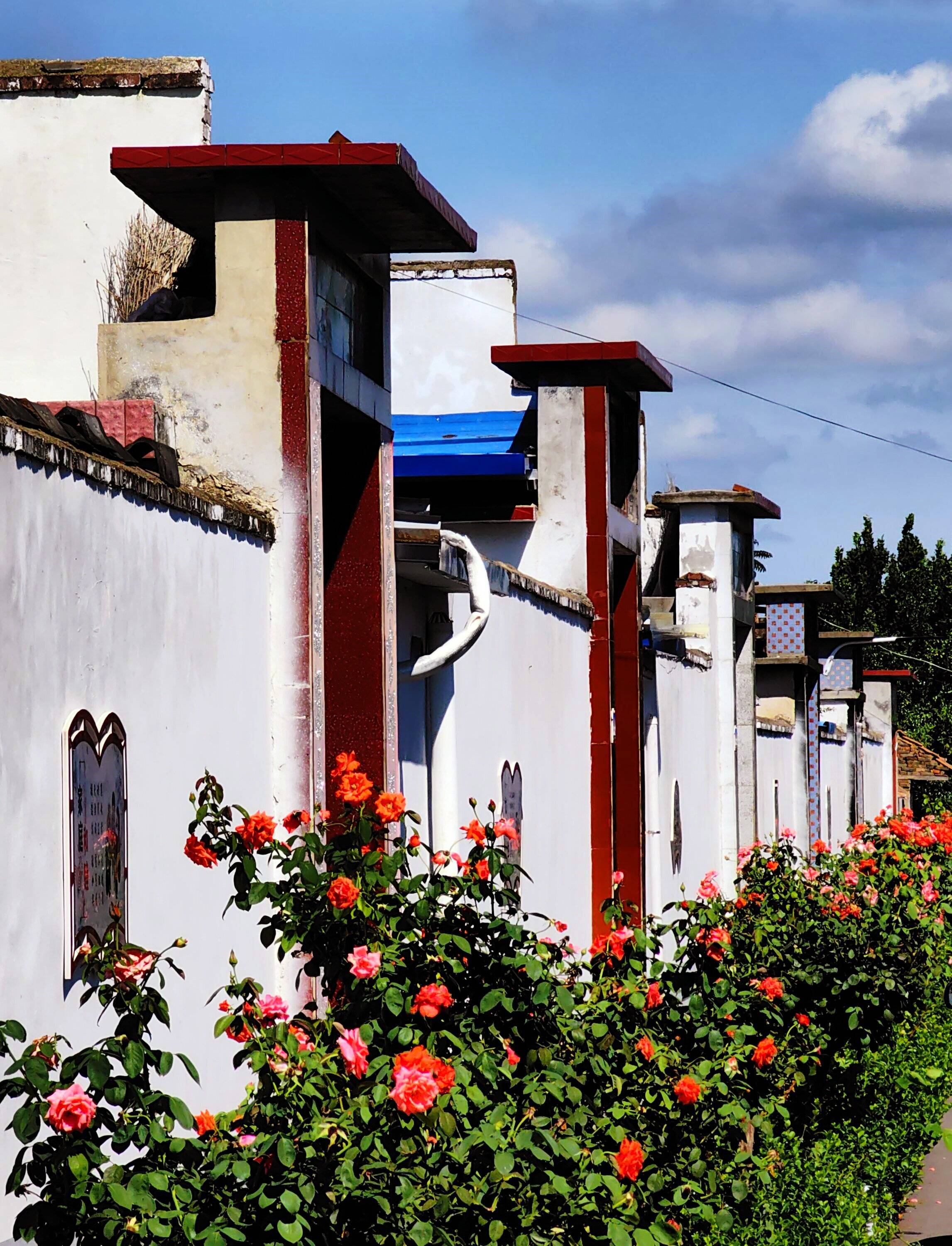 "美丽庭院"绘就乡村振兴新画卷