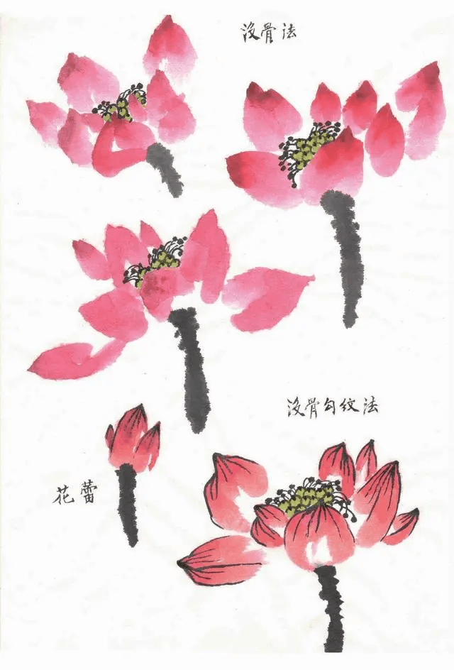 教你怎么画大写意荷花