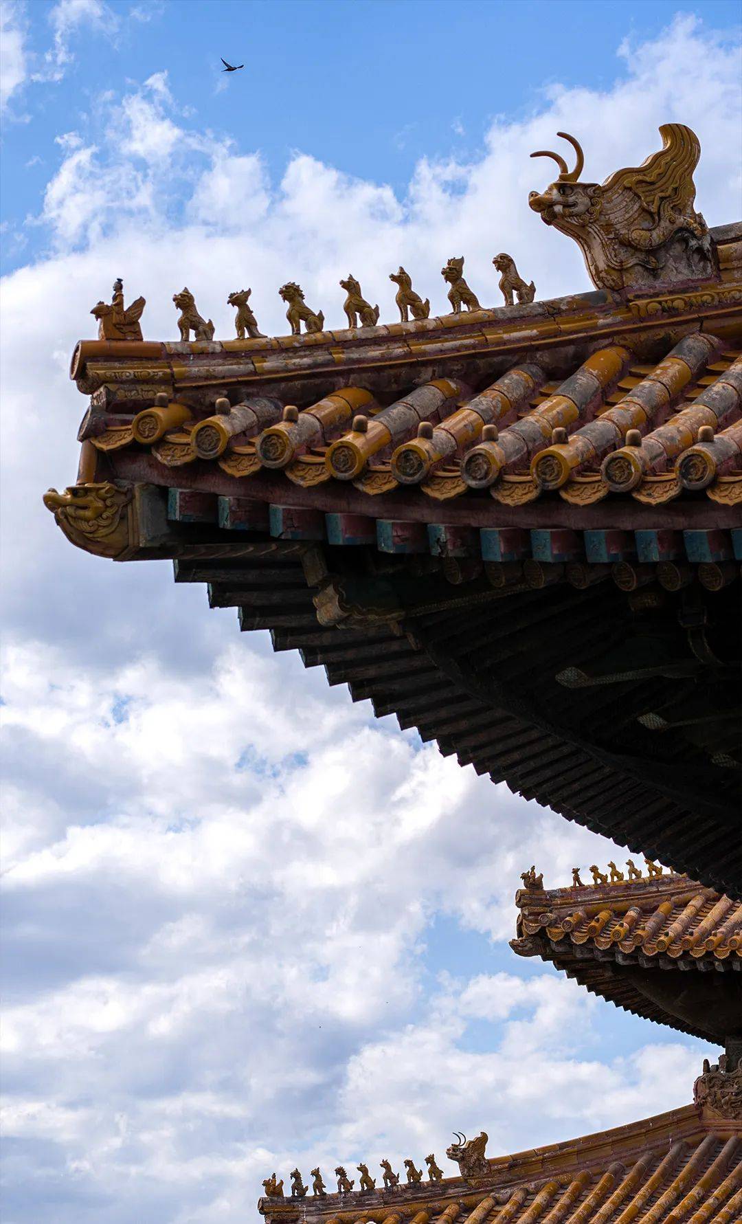 暑期荐读| 巧游故宫,带你发现故宫的60个细节!