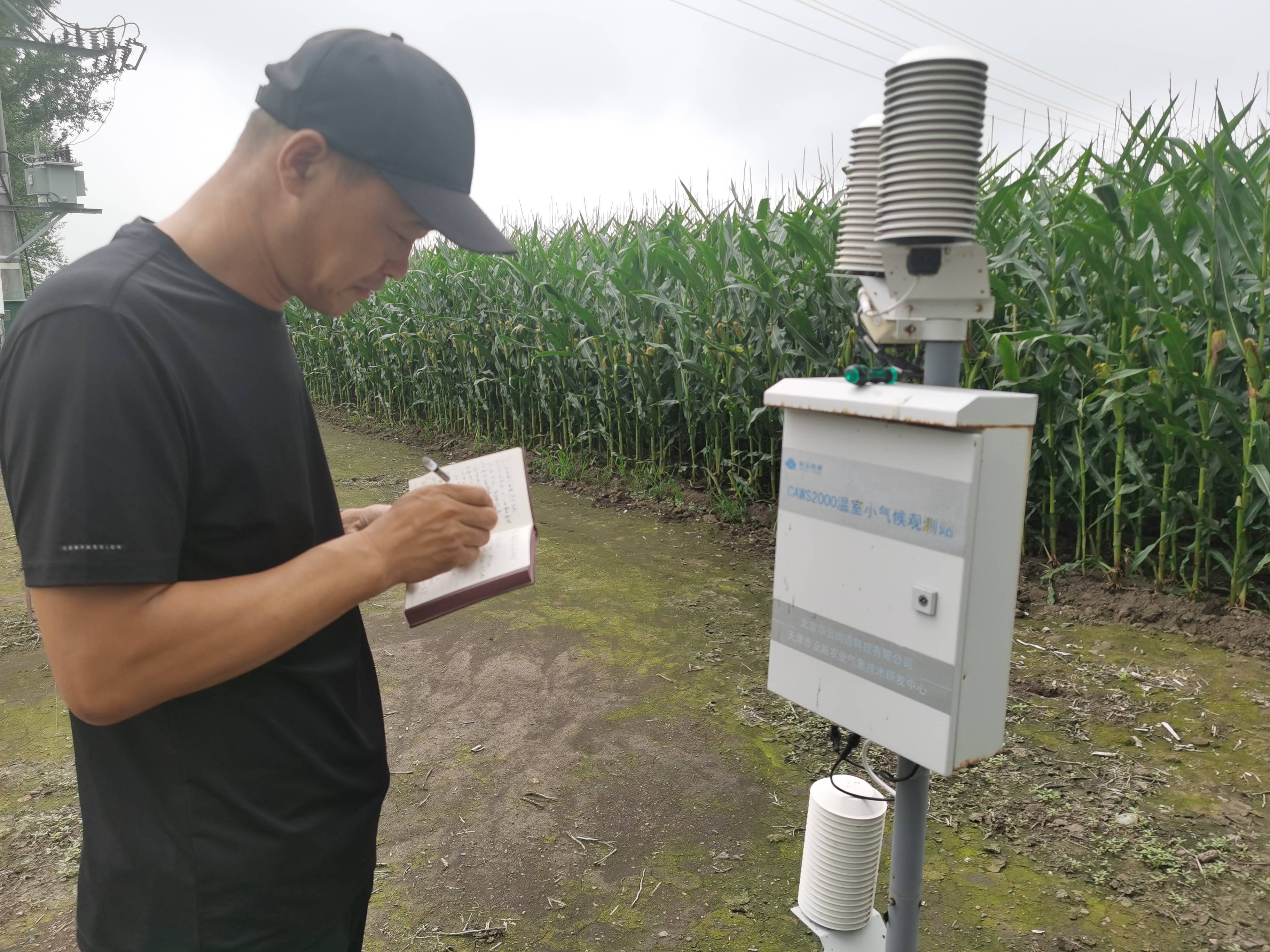 北大荒农业股份勤得利分公司智能装备引领现代农业新风尚