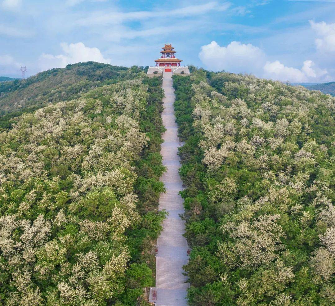 我们一起徒步于辽阳的山林间~_周祉旭_龙鼎山_城市