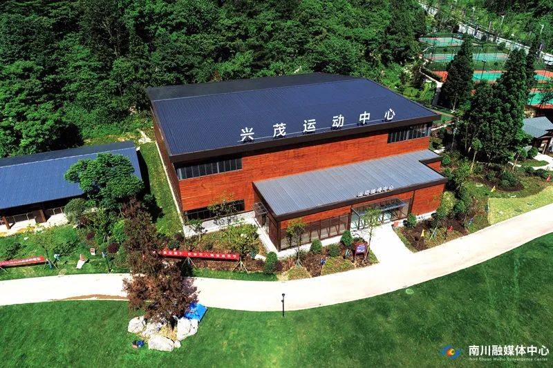 打卡"重庆森林",南川森林康养基地等你来"森呼吸"