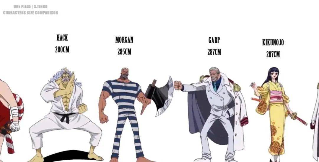 海贼王人物身高大盘点来了!