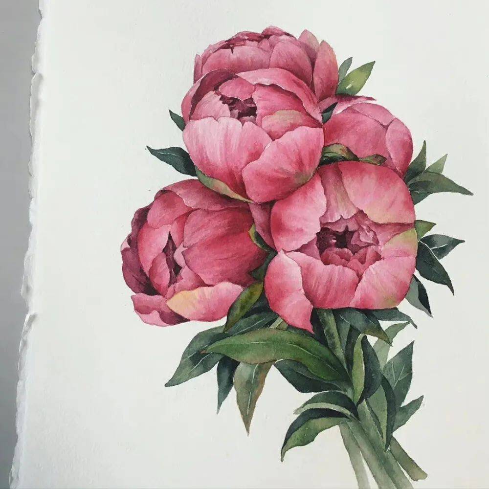 20幅水彩花卉小画作品欣赏简洁细腻的水彩花卉手绘