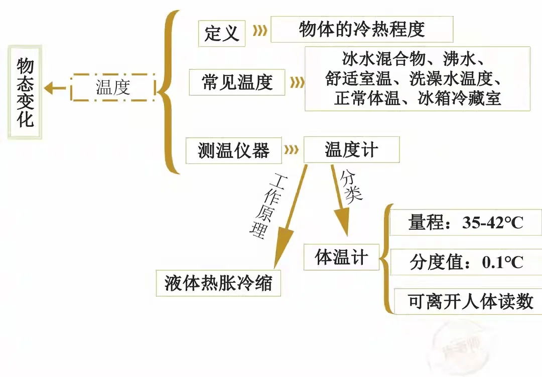 【物理导图】八年级上册 物理 高频考点 思维导图 易错点