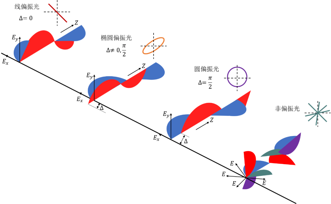 线偏振光图像图片