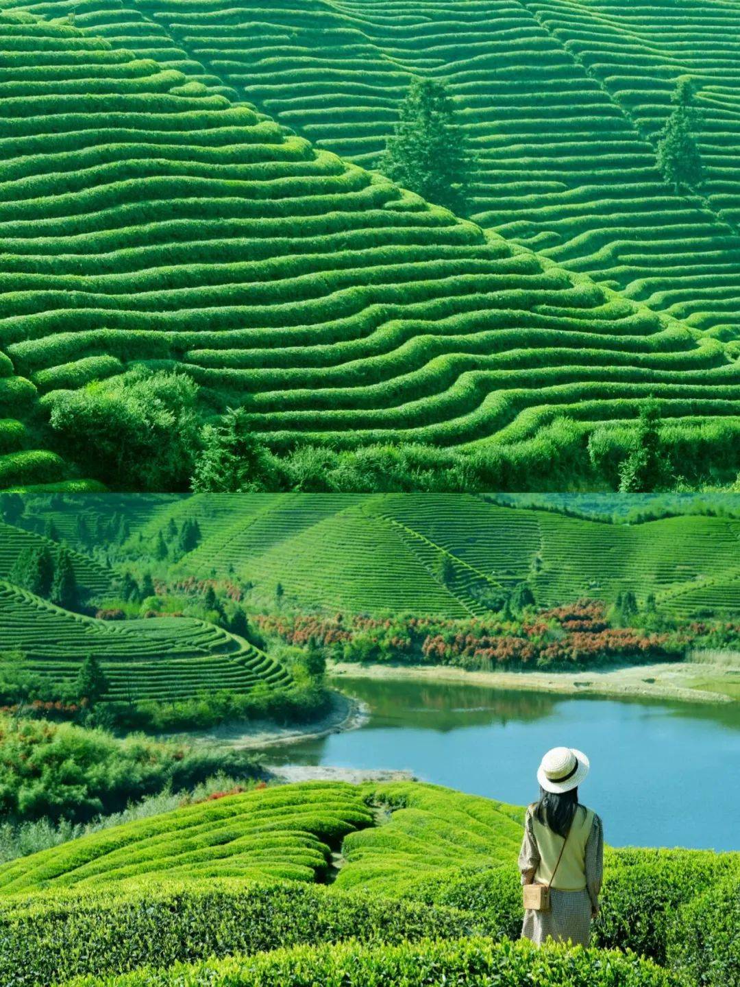 浙江金华，一个适合散心的避暑小城_绿意_湖泊_山水