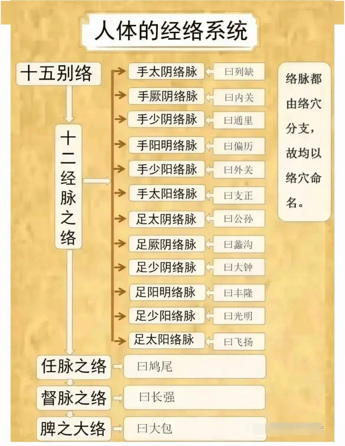 人体内的十五条经络及奇经八脉都指的是什么?