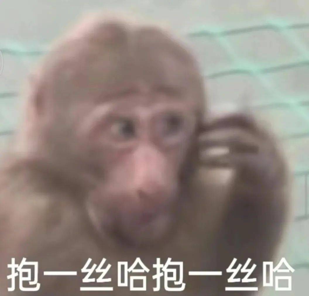 搞笑来袭,表情包免费领!_公众_熊猫头_文章