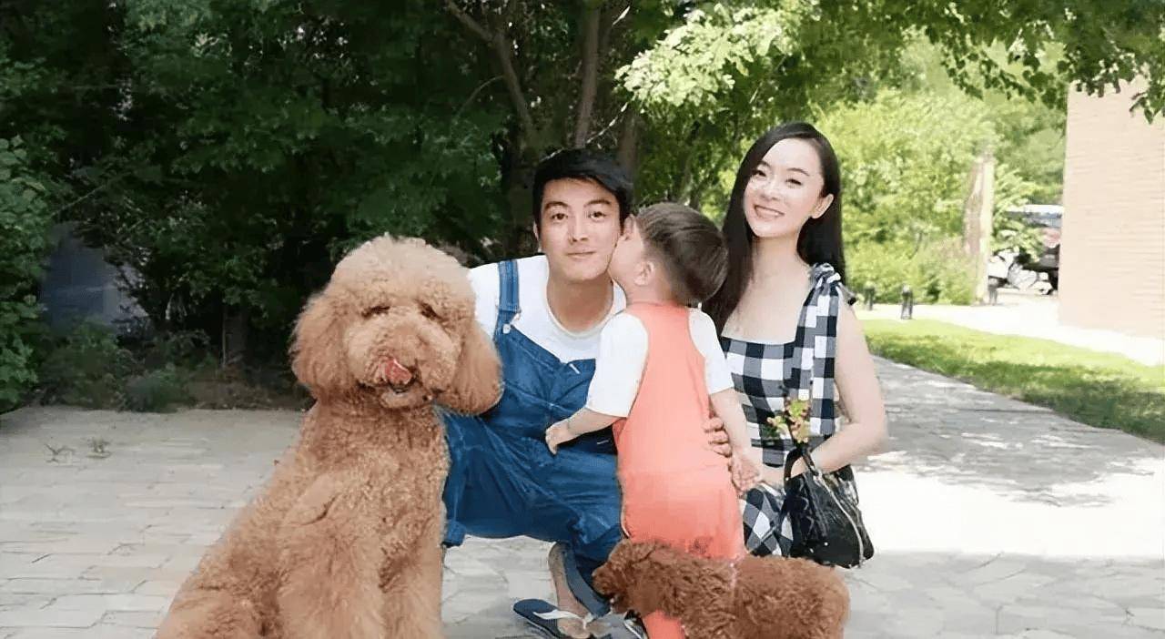 霍思燕晒自家养的9只宠物狗,一直陪伴,好有爱!