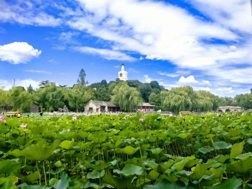 云卷云舒!夏末秋初的北海公园风景绝美