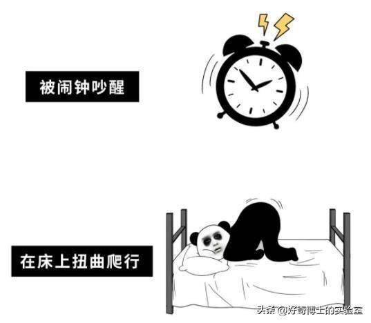 每天自然醒和被闹钟叫醒,对身体的影响居然这么大?