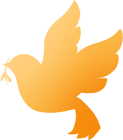 迷途少年的蜕变与成长