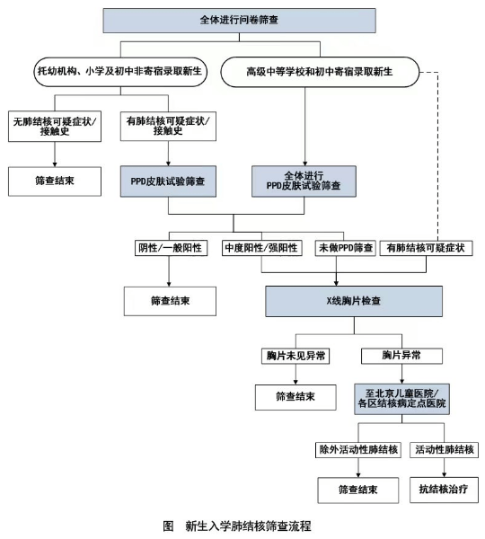 核酸检测流程图电子版图片