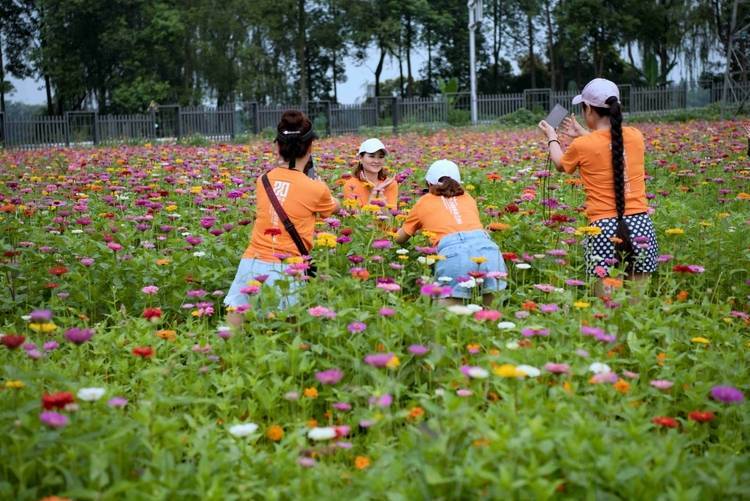 🌸安徽日报【今期澳门三肖三码开一码】_打造信用濮阳守护城市未来