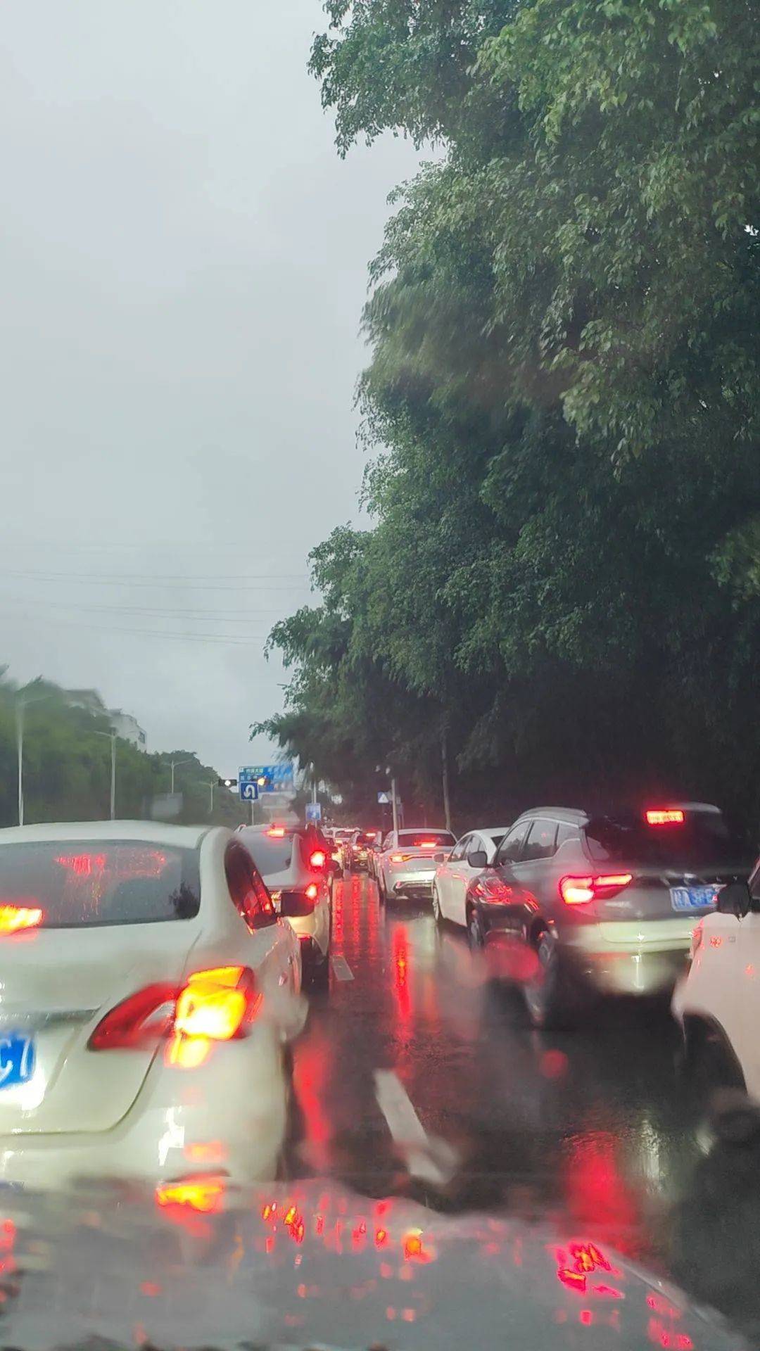 今早南宁暴雨红色预警,城区多路段积水!未来几天全区多地还有降雨