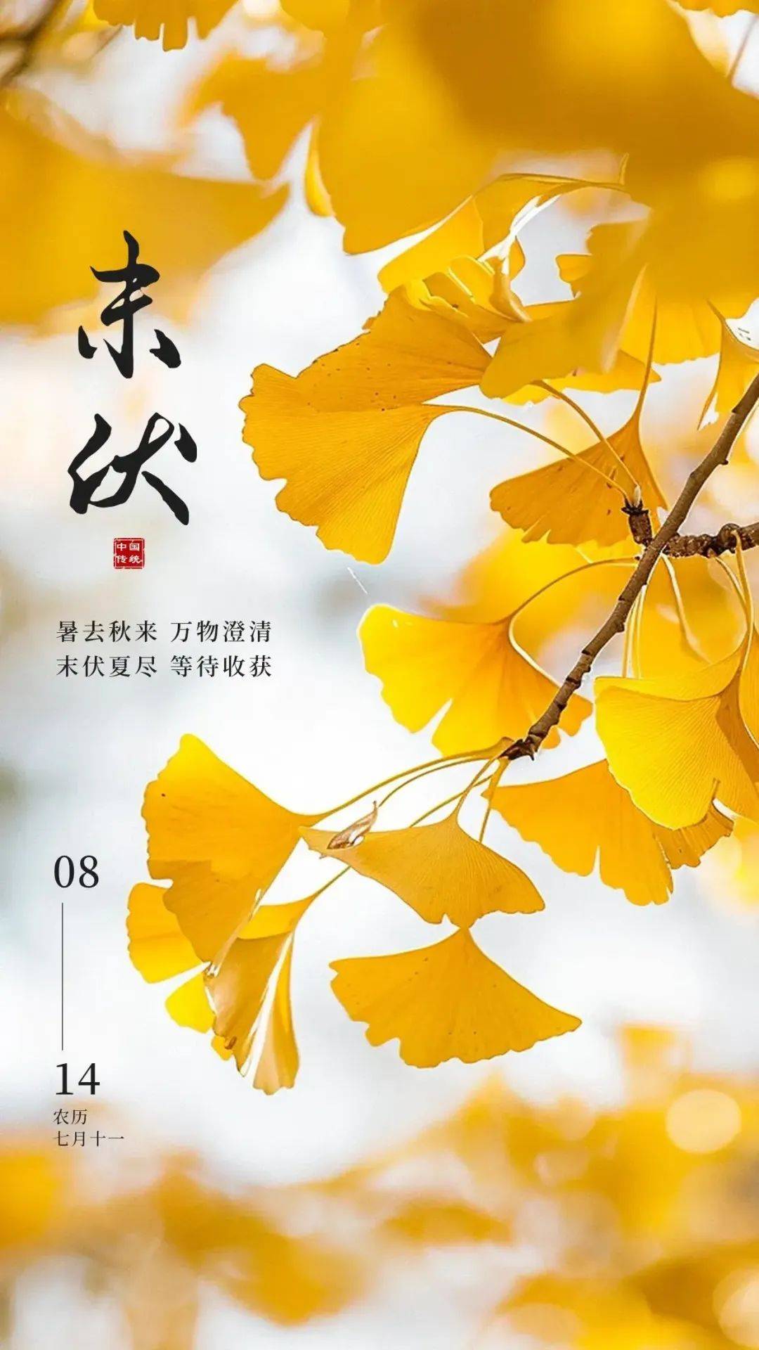 8月14日周三早上好,今日末伏漂亮祝福图片大全