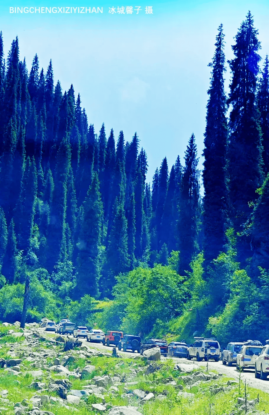 自驾穿越恰塔"环线,探秘天山恰西画卷