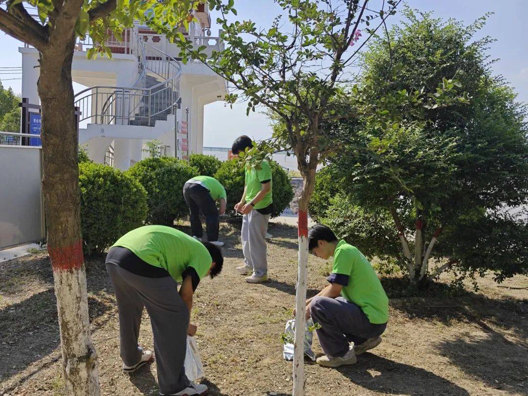 暑假社会实践活动图片