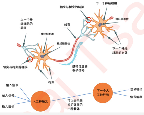 模型案例