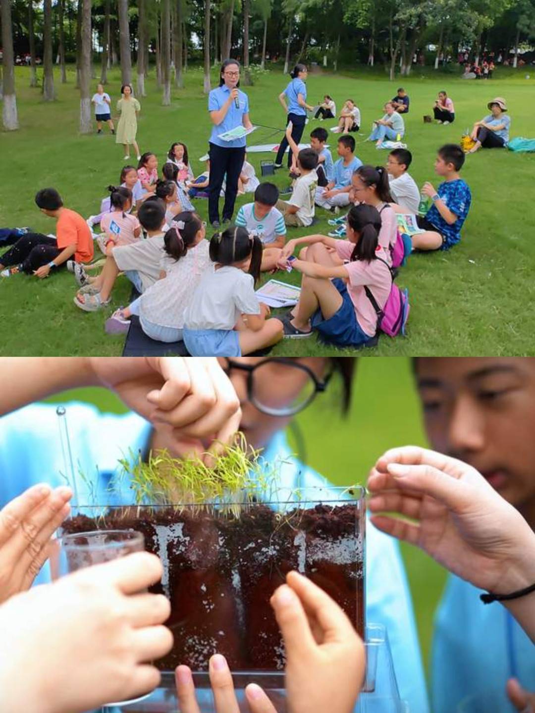 谷歌：2024香港管家婆王中王资料-学籍岂能当生意！部分教育机构违法提供“空挂学籍”业务，不上课竟可拿毕业证