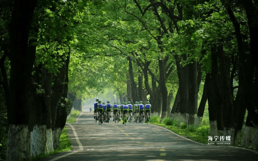 在海宁追果博官网潮寻绿原来钱塘江边这么多美景(图9)