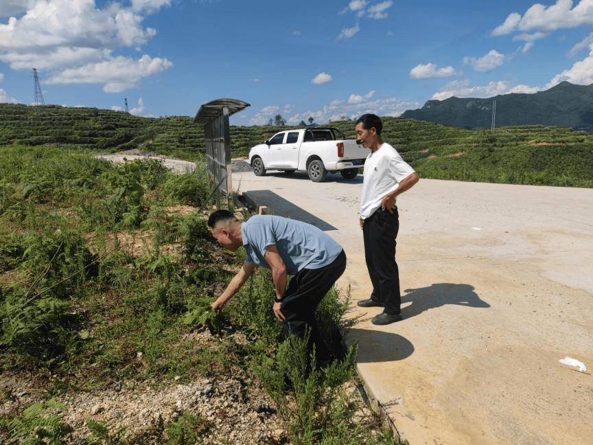 昌明镇:汇聚人大力量,助推基层治理