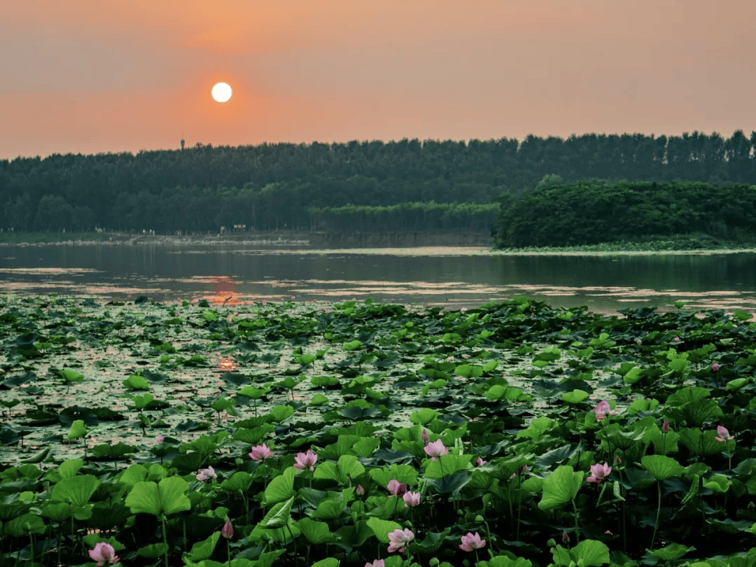 沈阳丁香湖全景图片