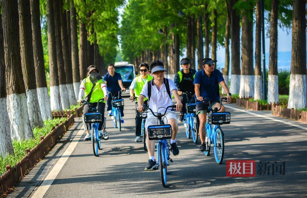 低碳生活理念,他们产生的碳减排积分还有这个作用