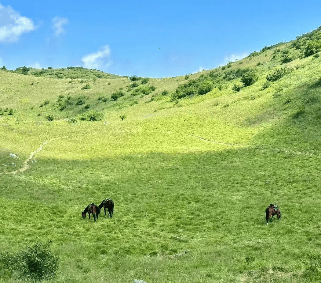 环球网 :一码一肖100准中奖-城市：海口琼山区持续推动城市能级提升托起百姓安居幸福梦  第5张